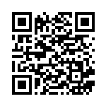 [S4a]ターフスタジアム（シャイニースターV 179/190  ）[S4a179] QRコード