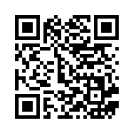 [S4a]ローズタワー（シャイニースターV 182/190  ）[S4a182] QRコード