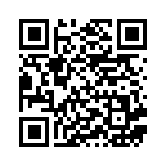 [S4a]SR ウカッツ（シャイニースターV 191/190  ）[S4a191] QRコード