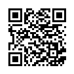 [S4a]SR ボールガイ（シャイニースターV 196/190  ）[S4a196] QRコード