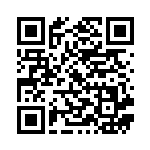 [S4a]SR ポケモンごっこ（シャイニースターV 197/190  ）[S4a197] QRコード