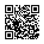 [S4a]S ジュナイパー（シャイニースターV 202/190  ）[S4a202] QRコード