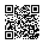 [S4a]S ヒバニー（シャイニースターV 214/190  ）[S4a214] QRコード