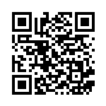 [S4a]S ラビフット（シャイニースターV 215/190  ）[S4a215] QRコード