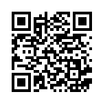 [S4a]S エースバーン（シャイニースターV 216/190  ）[S4a216] QRコード