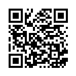 [S4a]S ヤクデ（シャイニースターV 217/190  ）[S4a217] QRコード