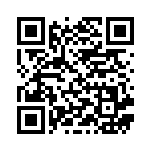 [S4a]S ガラルバリヤード（シャイニースターV 219/190  ）[S4a219] QRコード