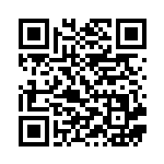 [S4a]S コオリッポ（シャイニースターV 234/190  ）[S4a234] QRコード