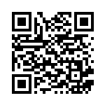 [S4a]S ウオチルドン（シャイニースターV 236/190  ）[S4a236] QRコード