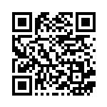 [S4a]S ワンパチ（シャイニースターV 238/190  ）[S4a238] QRコード