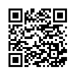 [S4a]S エレズン（シャイニースターV 240/190  ）[S4a240] QRコード