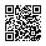 [S4a]S パッチルドン（シャイニースターV 245/190  ）[S4a245] QRコード