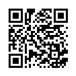 [S4a]S テブリム（シャイニースターV 254/190  ）[S4a254] QRコード