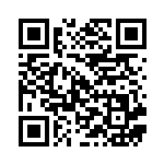 [S4a]S ガラルマッギョ（シャイニースターV 287/190  ）[S4a287] QRコード