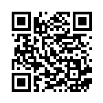 [S4a]S スワンナ（シャイニースターV 295/190  ）[S4a295] QRコード