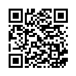 [S4a]SSR ゴリランダーVMAX（シャイニースターV 305/190  ）[S4a305] QRコード