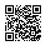 [S4a]SSR マルヤクデV（シャイニースターV 309/190  ）[S4a309] QRコード