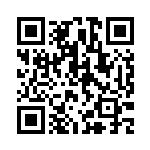 [S4a]SSR マルヤクデVMAX（シャイニースターV 310/190  ）[S4a310] QRコード