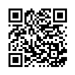 [S4a]SSR ストリンダーVMAX（シャイニースターV 315/190  ）[S4a315] QRコード