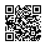 [S4a]SSR バイウールーV（シャイニースターV 325/190  ）[S4a325] QRコード