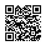 [S4a]SSR ウッウV（シャイニースターV 326/190  ）[S4a326] QRコード