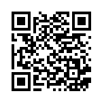 [S4a]UR ザシアンV（シャイニースターV 329/190  ）[S4a329] QRコード