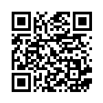 [S5a]U ガラルのむねあて（双璧のファイター 065/070 トレーナーズ ポケモンのどうぐ ）[S5a065] QRコード