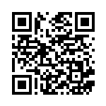 [S5a]SR ガラルファイヤーV（双璧のファイター 078/070 悪 ）[S5a078] QRコード