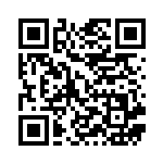 [S5a]HR ガラルヤドキングVMAX（双璧のファイター 088/070 悪 ）[S5a088] QRコード