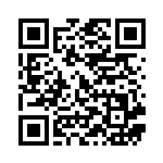 [S5I]HR いちげきウーラオスVMAX（一撃マスター 085/070 闘 ）[S5I085] QRコード