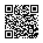 [S5R]RRR ビクティニVMAX（連撃マスター 013/070 炎 ）[S5R013] QRコード