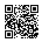 [S5R]U レベルボール（連撃マスター 063/070 トレーナー グッズ ）[S5R063] QRコード