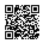 [S5R]HR ビクティニVMAX（連撃マスター 082/070 炎 ）[S5R082] QRコード