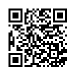 [S5R]HR アーマーガアVMAX（連撃マスター 085/070 鋼 ）[S5R085] QRコード