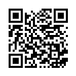 [S6a]C ピカチュウ（イーブイヒーローズ 026/069 雷 ）[S6a026] QRコード