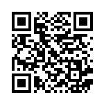 [S6a]R ライチュウ（イーブイヒーローズ 027/069 雷 ）[S6a027] QRコード