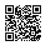 [S6a]U フラエッテ（イーブイヒーローズ 038/069 超 ）[S6a038] QRコード