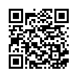 [S6a]RRR ブラッキーVMAX（イーブイヒーローズ 048/069 悪 ）[S6a048] QRコード