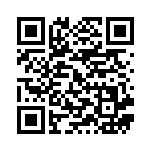 [S6a]U リボンバッジ（イーブイヒーローズ 065/069 トレーナーズ ポケモンのどうぐ ）[S6a065] QRコード