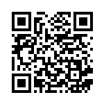 [S6a]HR グレイシアVMAX（イーブイヒーローズ 090/069 水 ）[S6a090] QRコード