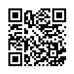 [S6a]UR ターフスタジアム（イーブイヒーローズ 100/069 トレーナーズ スタジアム ）[S6a100] QRコード