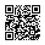 [S6H]RRR はくばバドレックスVMAX（白銀のランス 028/070 水 ）[S6H028] QRコード