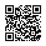 [S6H]U いかついメット（白銀のランス 061/070 トレーナーズ ポケモンのどうぐ ）[S6H061] QRコード