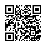 [S6H]UR いかついメット（白銀のランス 094/070 トレーナーズ ポケモンのどうぐ ）[S6H094] QRコード