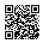 [S8]RR パルスワンV（フュージョンアーツ 034/100  ）[S8034] QRコード