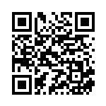 [S8]RRR パルスワンVMAX（フュージョンアーツ 035/100  ）[S8035] QRコード