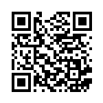 [S8a]RR ザシアンV（25th ANNIVERSARY COLLECTION 018/028  ）[S8a018] QRコード