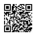 [S8a]RR そらをとぶピカチュウV（25th ANNIVERSARY COLLECTION 023/028  ）[S8a023] QRコード