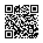 [S8a]RRR ピカチュウV-UNION（25th ANNIVERSARY COLLECTION 025/028  ）[S8a025] QRコード