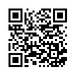 [S8a]RRR ピカチュウV-UNION(右下)（25th ANNIVERSARY COLLECTION 028/028  ）[S8a028] QRコード